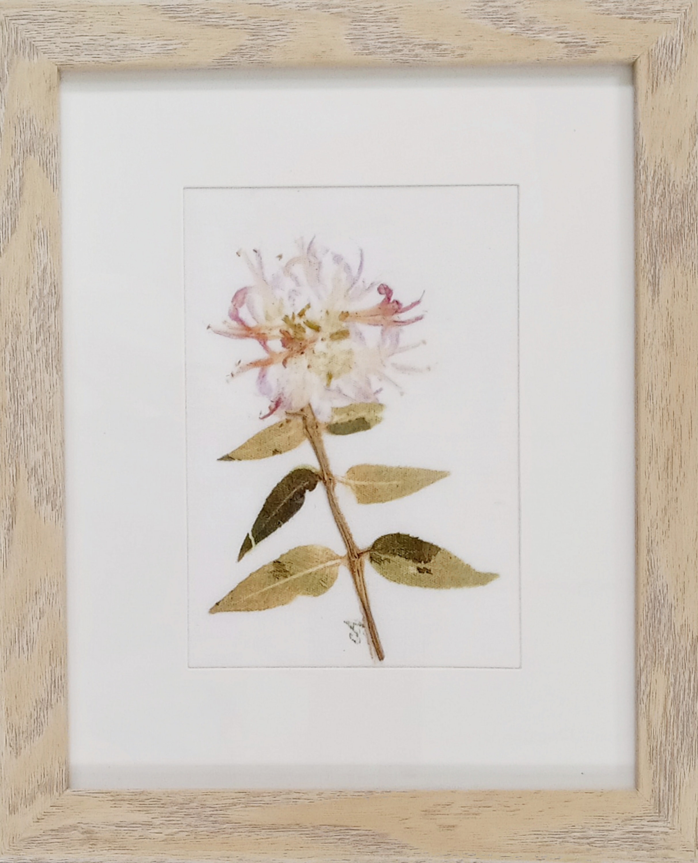 Bee Balm II — framed botanical pounding artwork on combed cotton with a pale pink bee balm bloom and green leaves