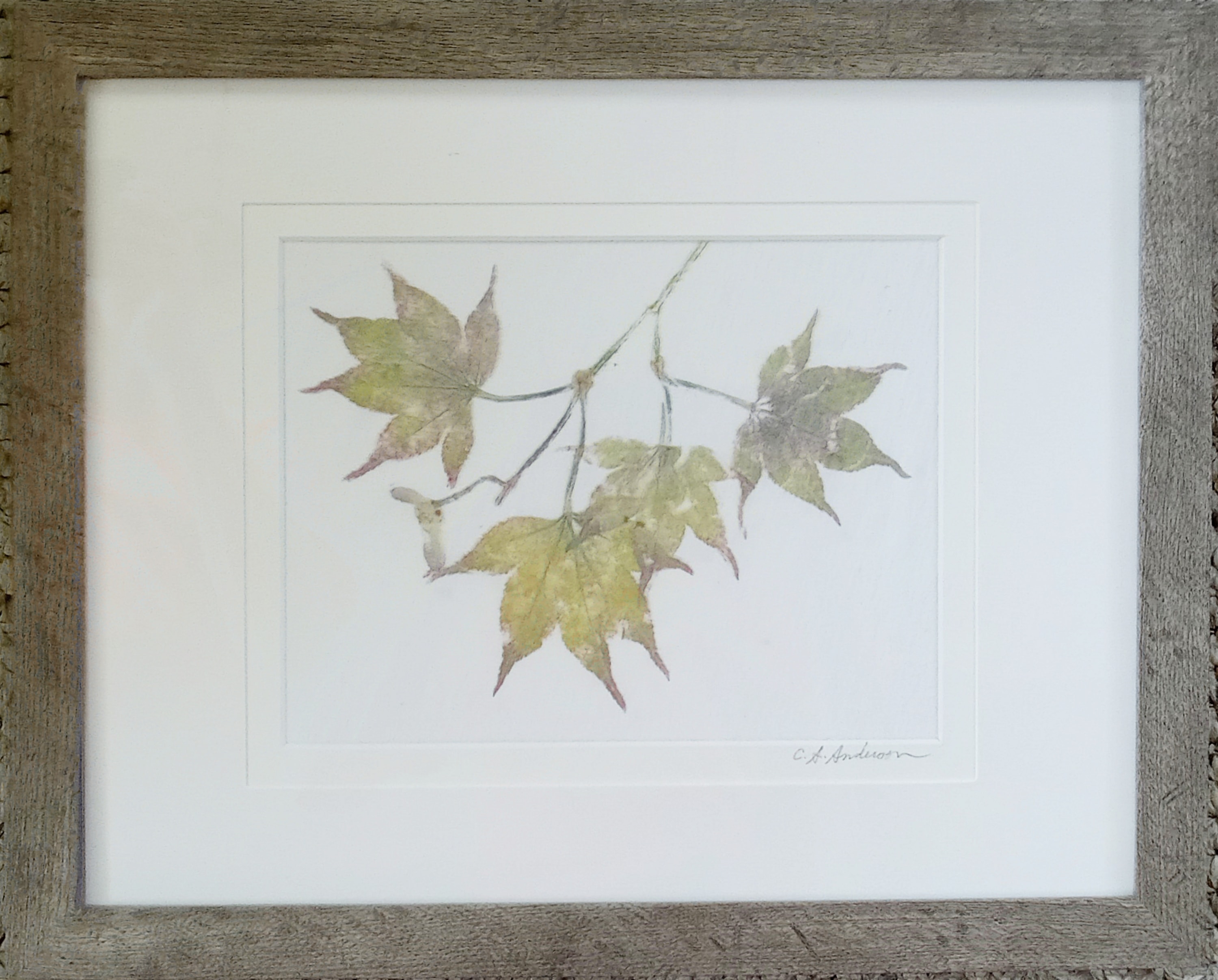 Changes II — Japanese maple on mordanted combed cotton, companion piece to Changes I
