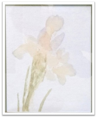 Original Iris Blues flora pounding on combed cotton, faded by sun exposure