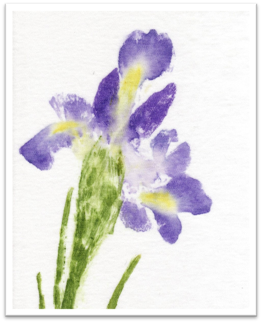 Iris Blues giclée print on watercolor paper