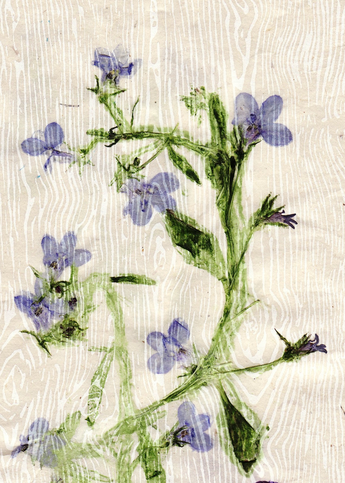 Hands working with fresh flowers to create botanical art